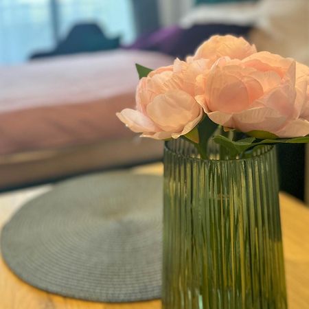 Belgrade Waterfront - Beograd Na Vodi - Terra Luxury Apartments Eksteriør bilde